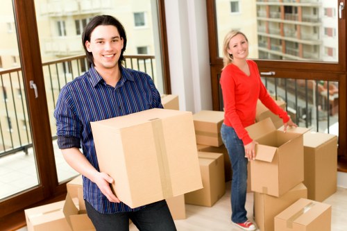 Furniture and box transport support for an Earlsfield removal job