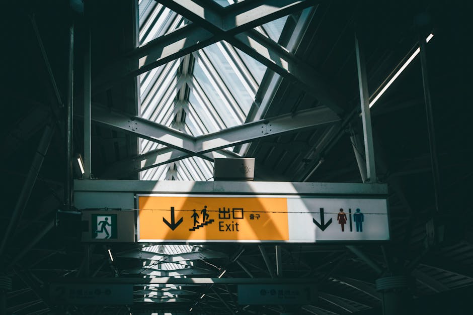 Interior view of a modern station ceiling with metal framework and large glass panels allowing natural light, featuring a yellow and white overhead exit sign with black text and icons. The sign indicates the direction to an exit with a downward arrow, and includes icons for stairs, a person running, and symbols for male and female toilets. The sign is positioned above a corridor or walkway, where different areas of the station are visible in the background. The environment suggests a busy setting suitable for home relocation or moving logistics, with the signage assisting in navigation within the station for passengers and moving service providers such as Man with Van Earlsfield, who facilitate furniture transport and packing for removals.